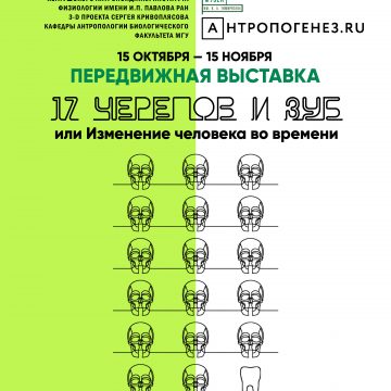 Выставка Биологического музея  имени К. А. Тимирязева «17 черепов и зуб, или Изменение человека во времени»