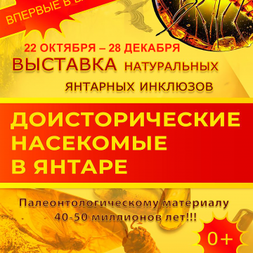 Выставка «Доисторические насекомые в янтаре»